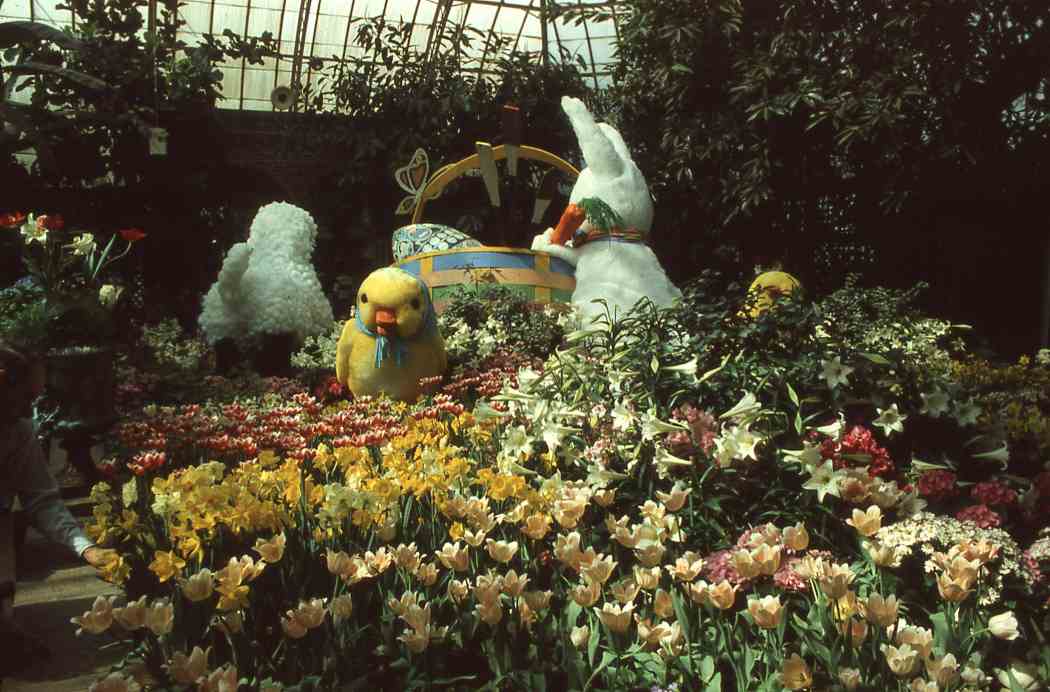 Spring Flower Show 1984