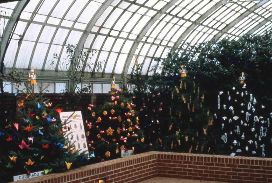 Winter Flower Show 1985