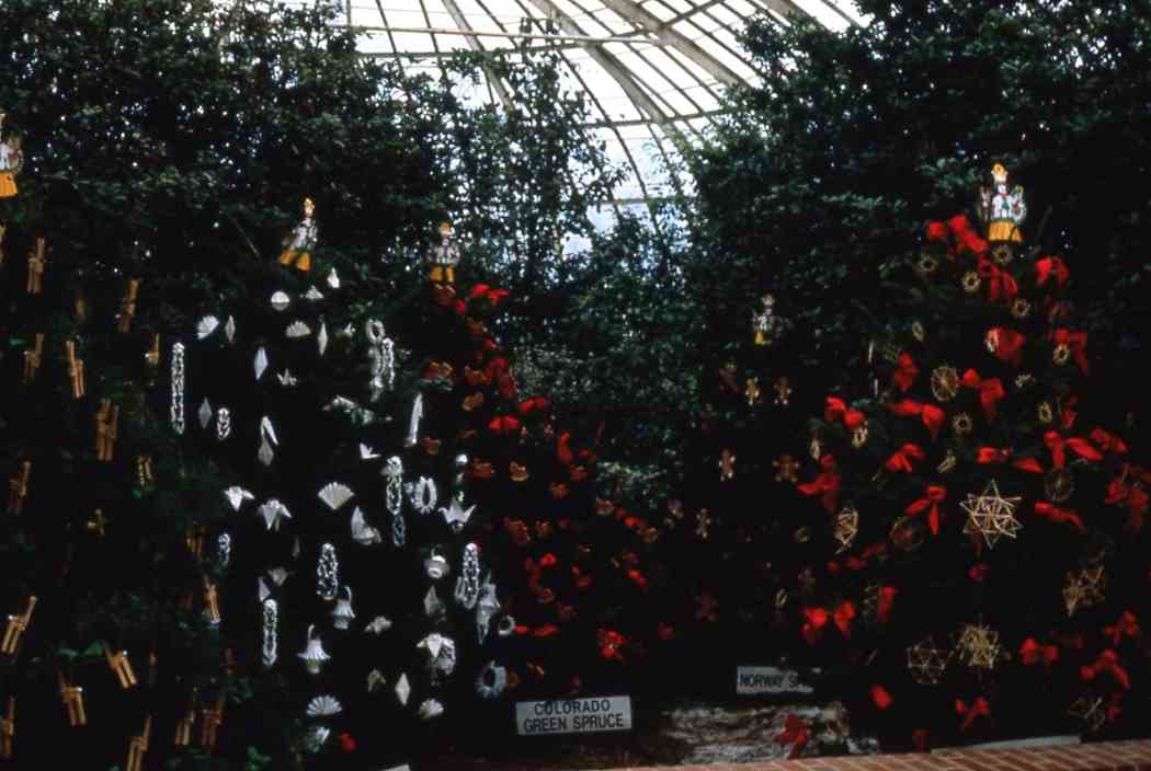 Winter Flower Show 1985