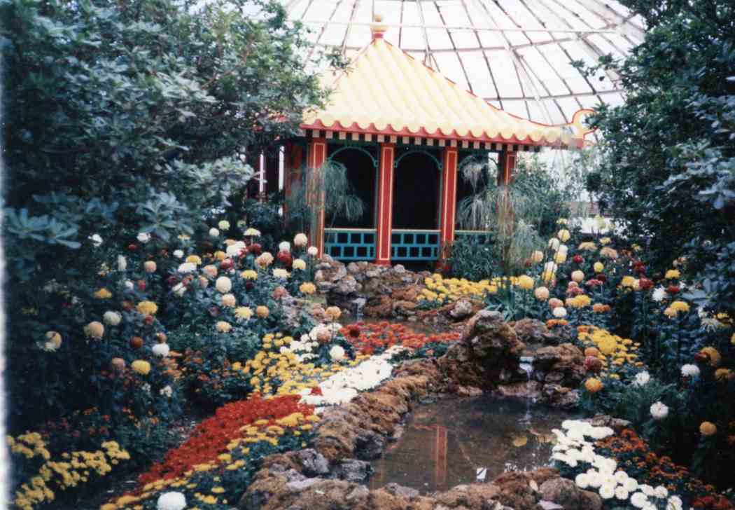 Fall Flower Show 1986: China — Origin of the Chrysanthemum