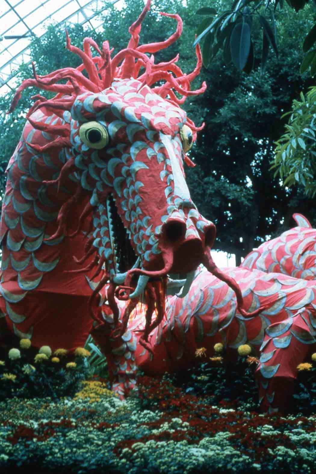 Fall Flower Show 1986: China — Origin of the Chrysanthemum