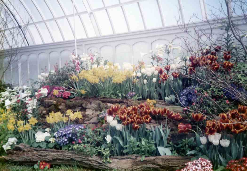 Spring Flower Show 1986: The Enchanted Forest