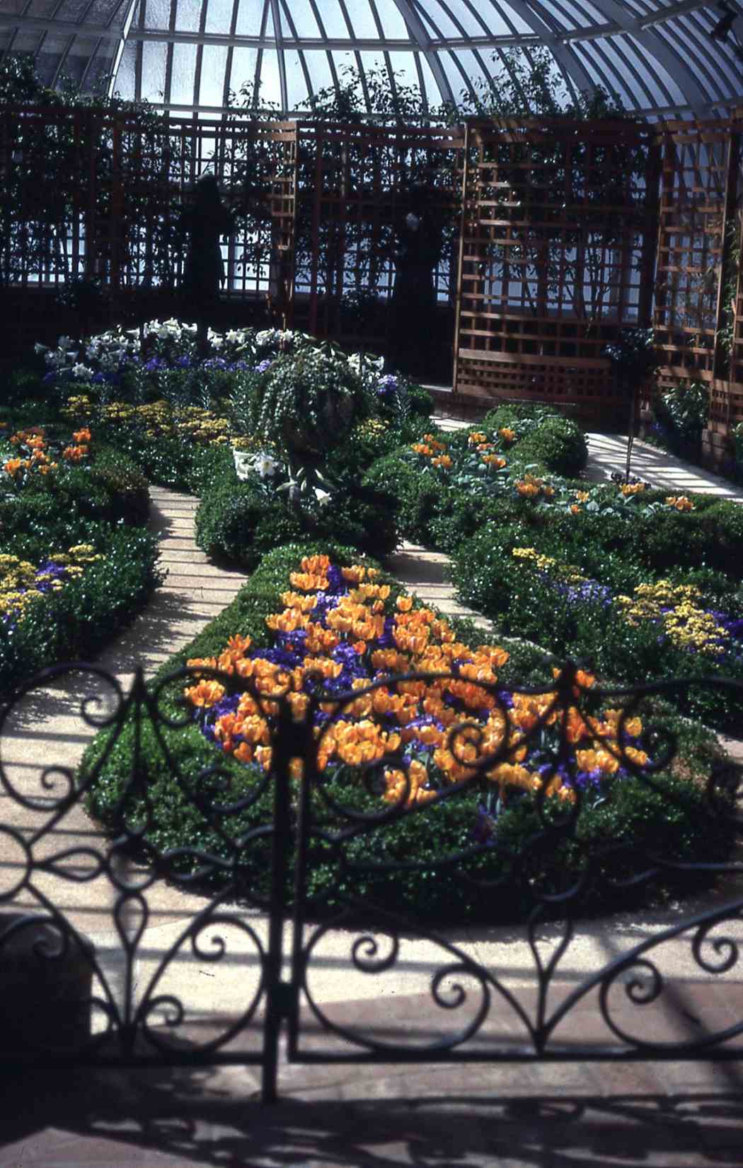 Spring Flower Show 1987
