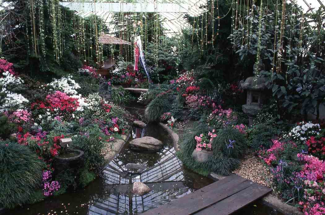 Spring Flower Show 1987