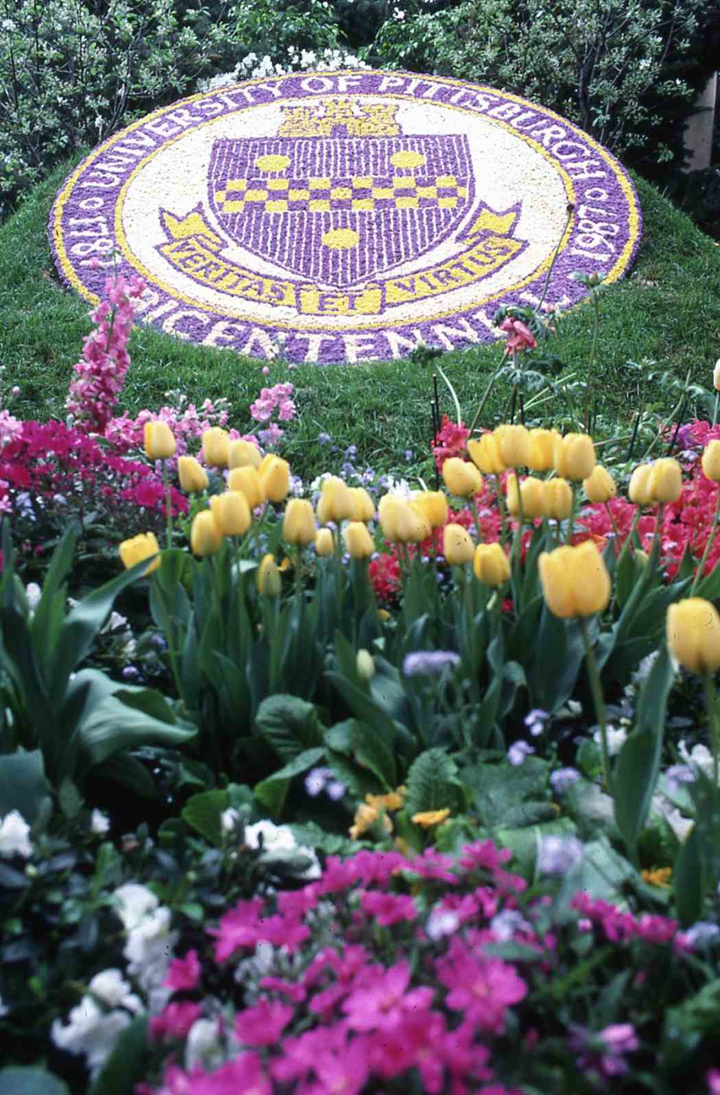 Spring Flower Show 1987