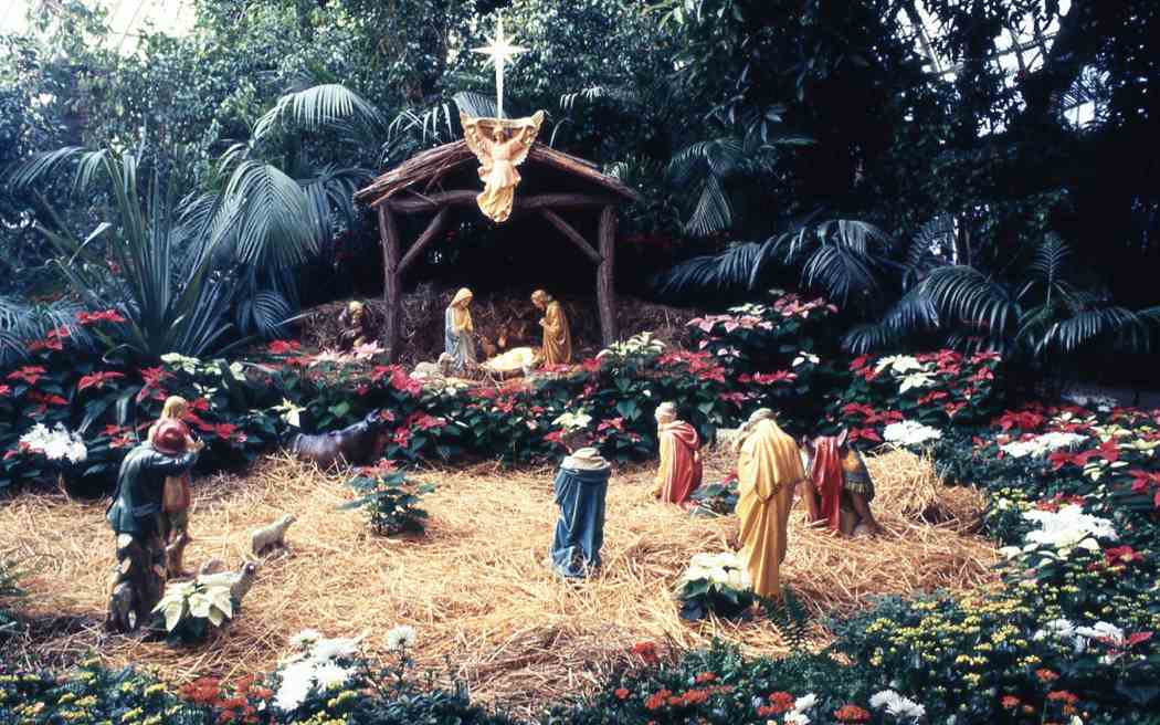 Winter Flower Show 1987: From Our House to Yours