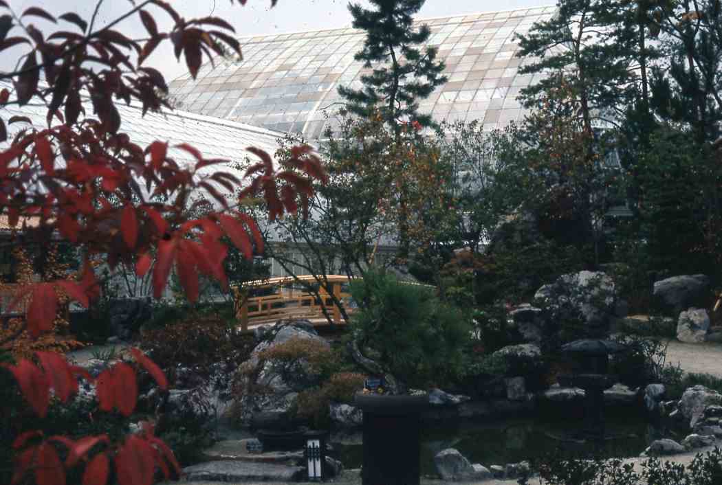 Fall Flower Show 1991: Hana Matsuri — Festival of Flowers