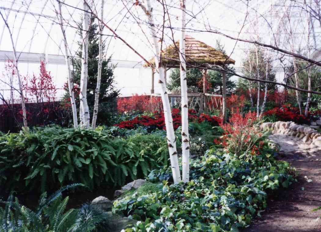 Winter Flower Show 1993