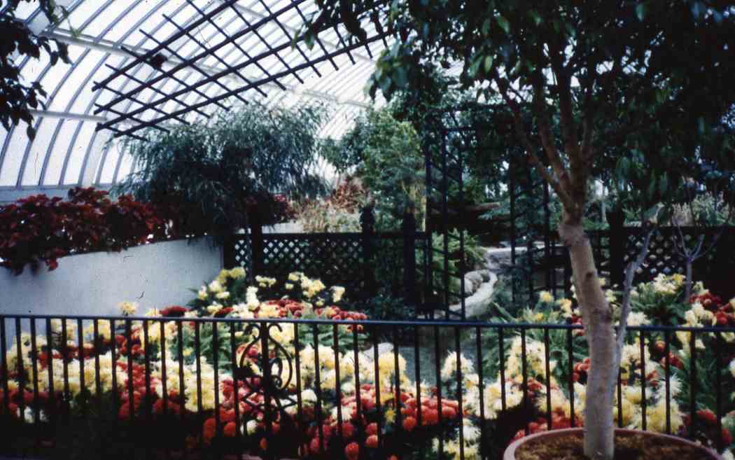 Fall Flower Show 1994
