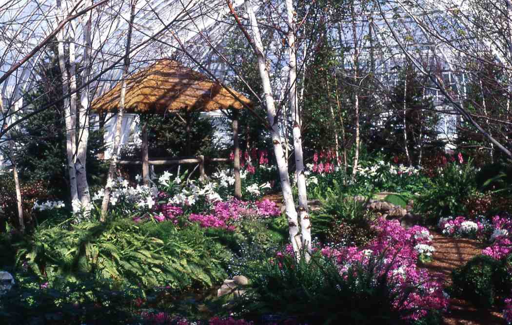 Spring Flower Show 1994