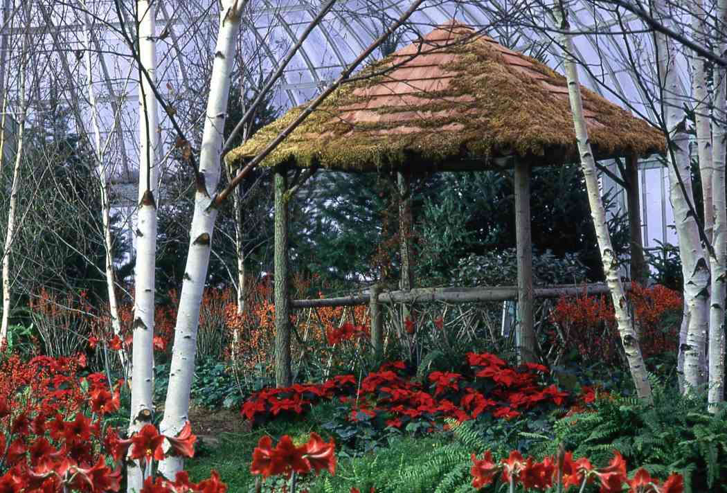 Winter Flower Show 1994