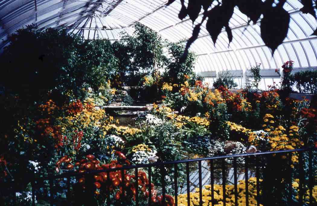 Fall Flower Show 1995