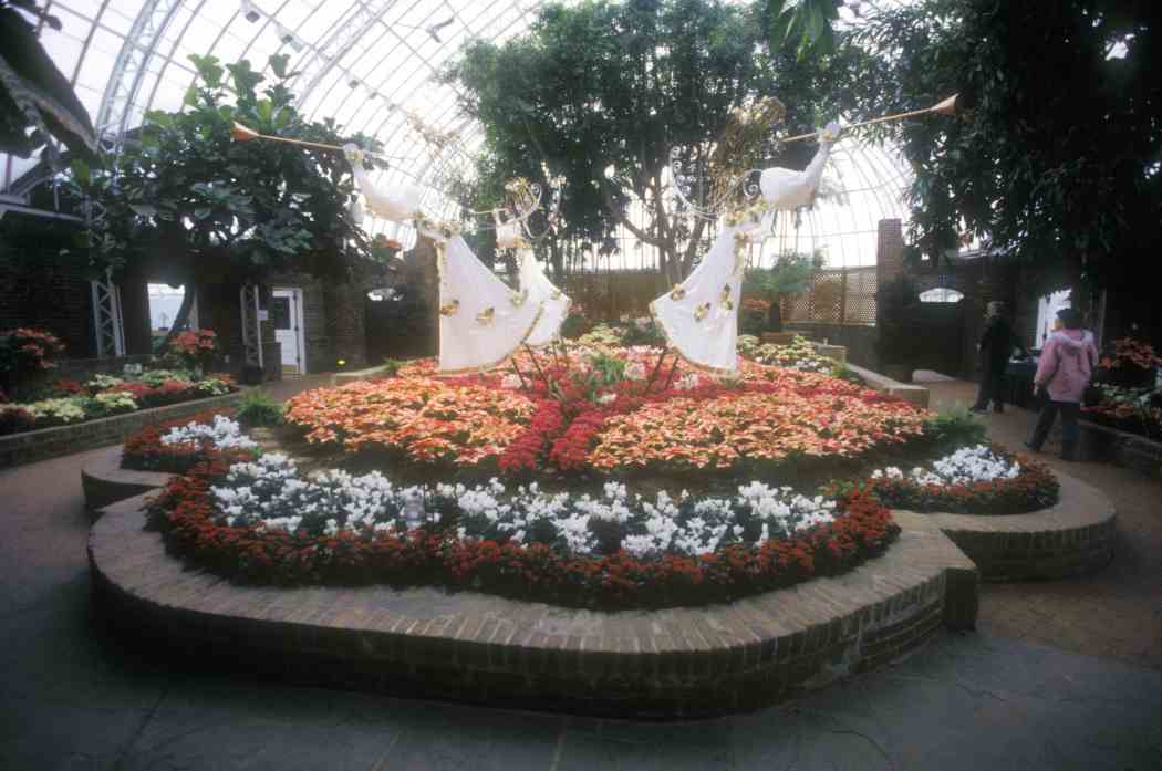 Winter Flower Show 1995