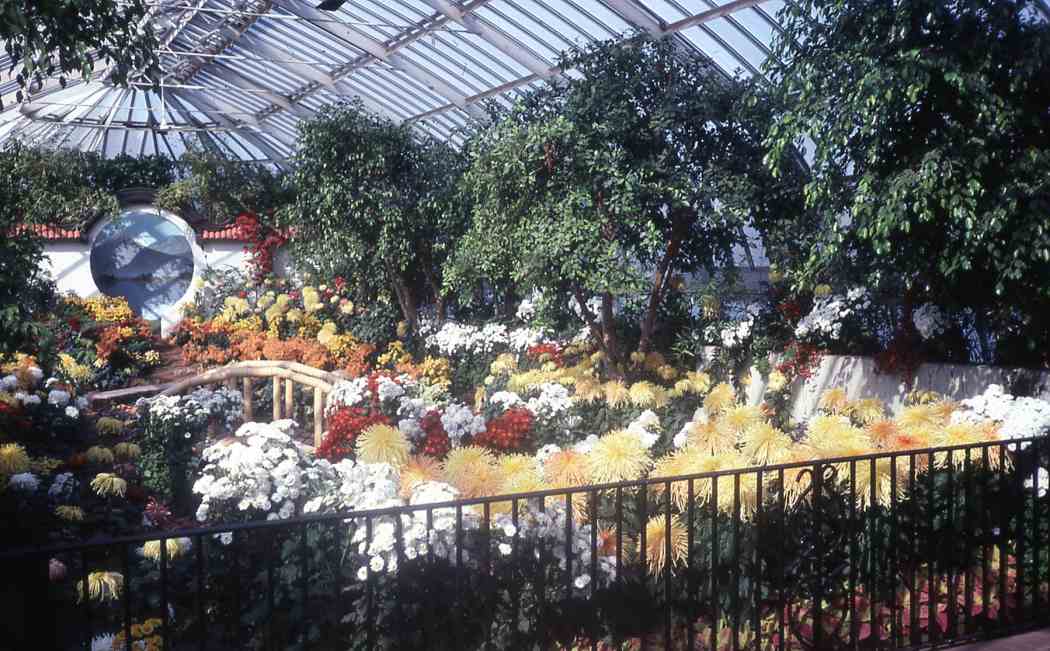 Fall Flower Show 1998: On the Way to Ahhhhs