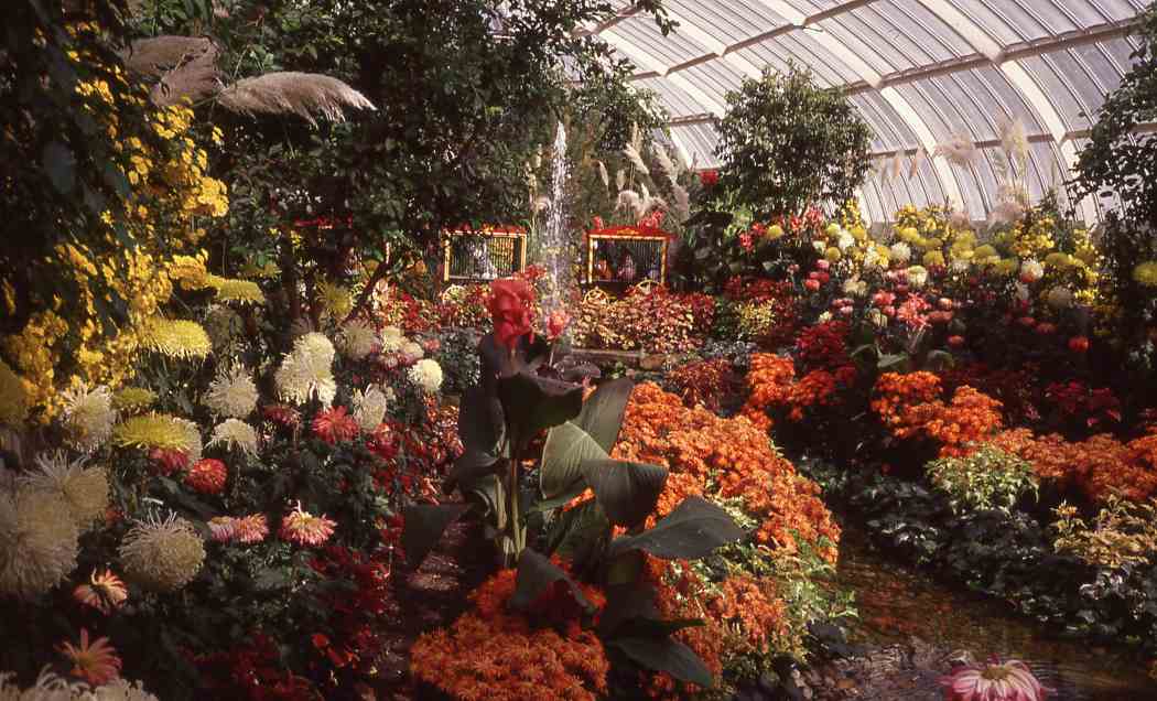 Fall Flower Show 1997: A Carnival of Color