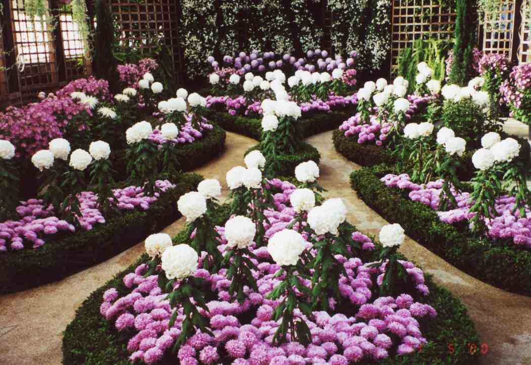 Fall Flower Show 2000: Oktoberfest of Flowers