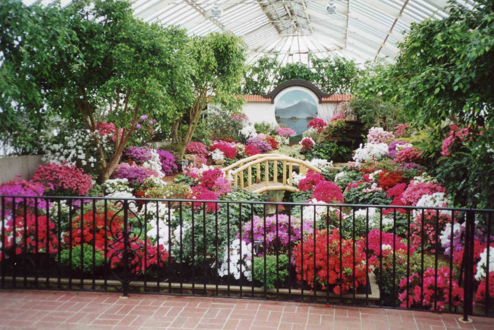 Spring Flower Show 2000: A Splash of Color | Phipps Conservatory and