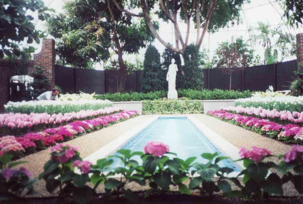 Spring Flower Show 2000: A Splash of Color