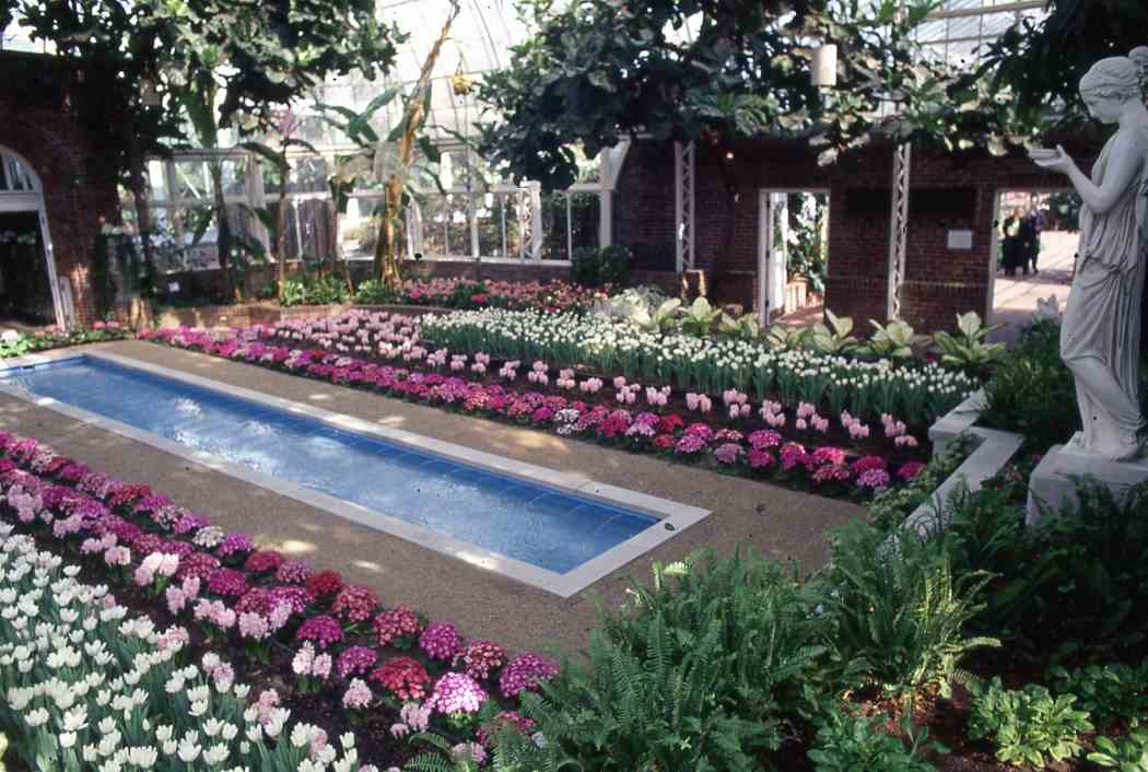 Spring Flower Show 2000: A Splash of Color