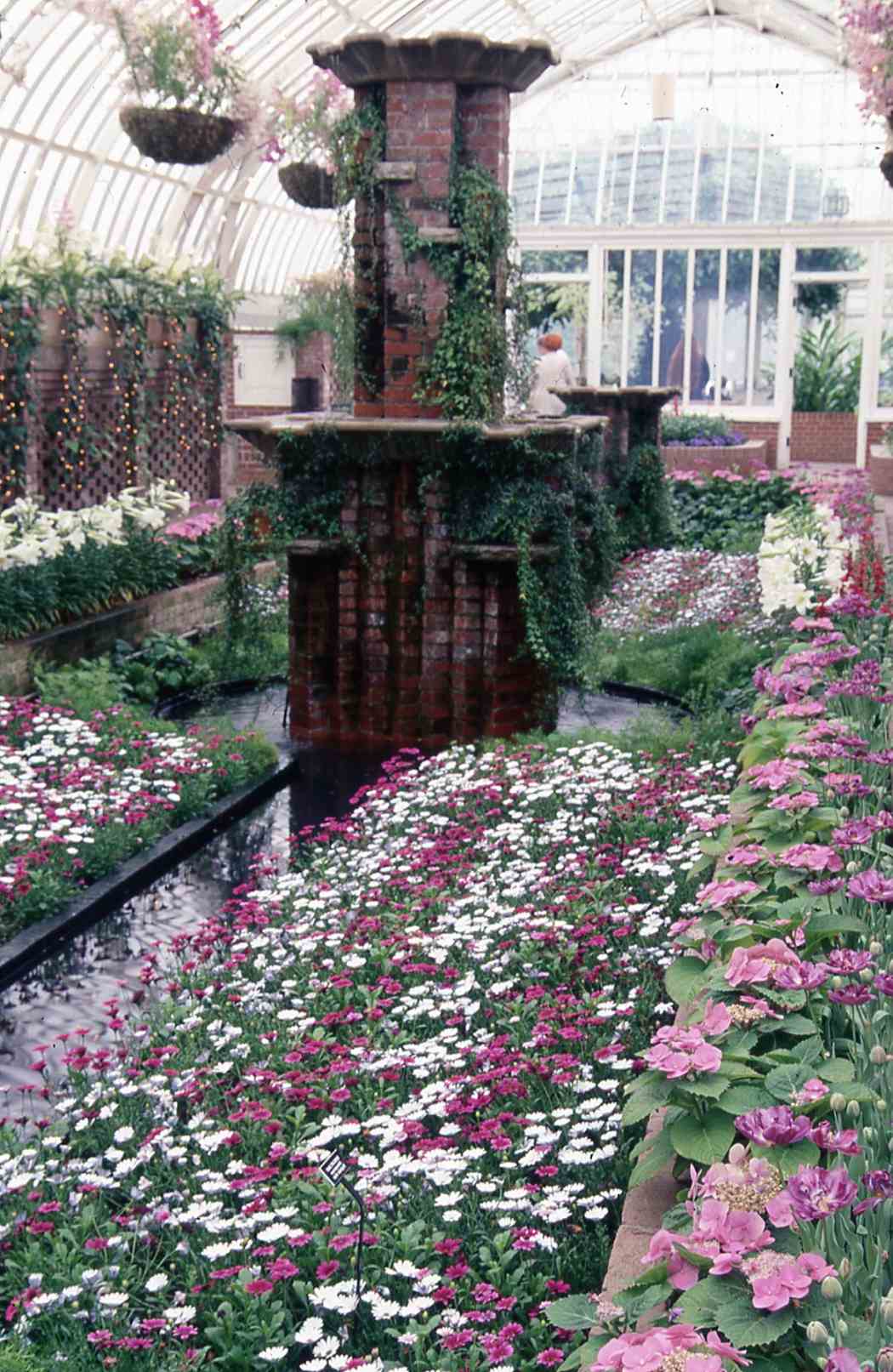 Spring Flower Show 2000: A Splash of Color