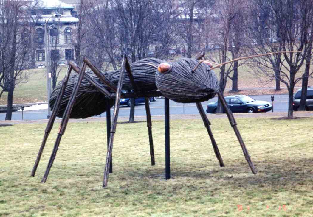 David Rogers’ Big Bugs