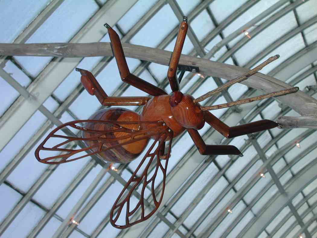 David Rogers’ Big Bugs