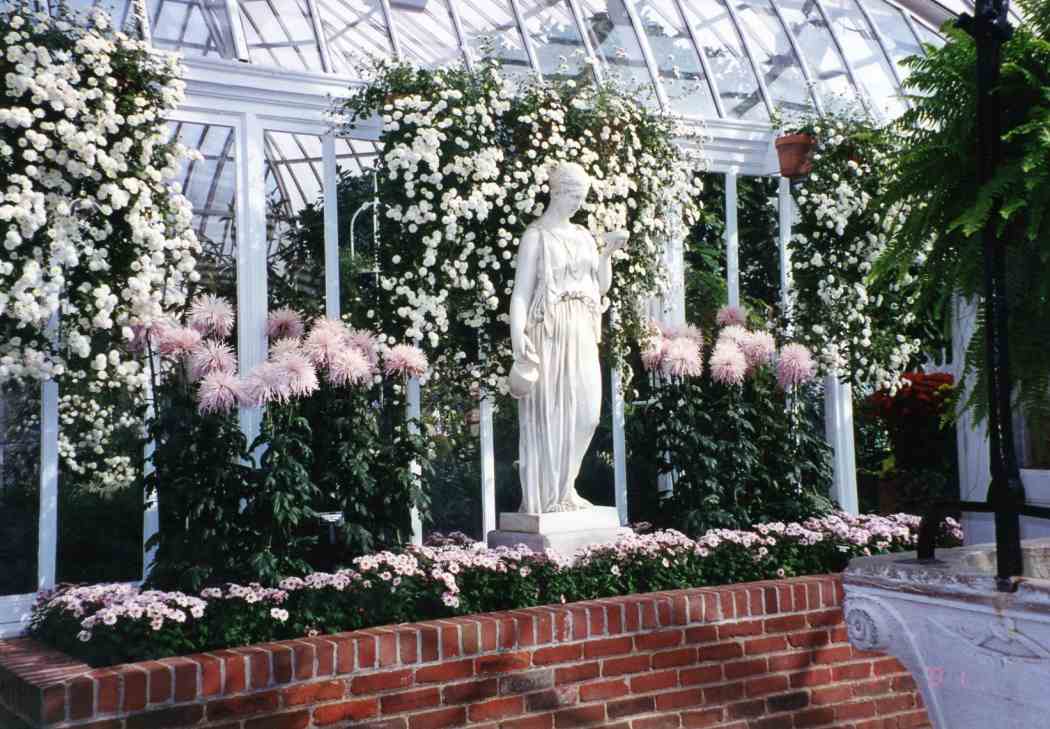 Fall Flower Show 2001: Rhapsody in Bloom