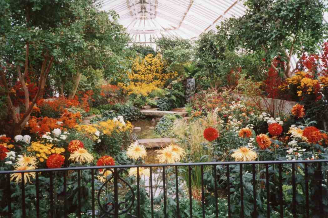 Fall Flower Show 2001: Rhapsody in Bloom