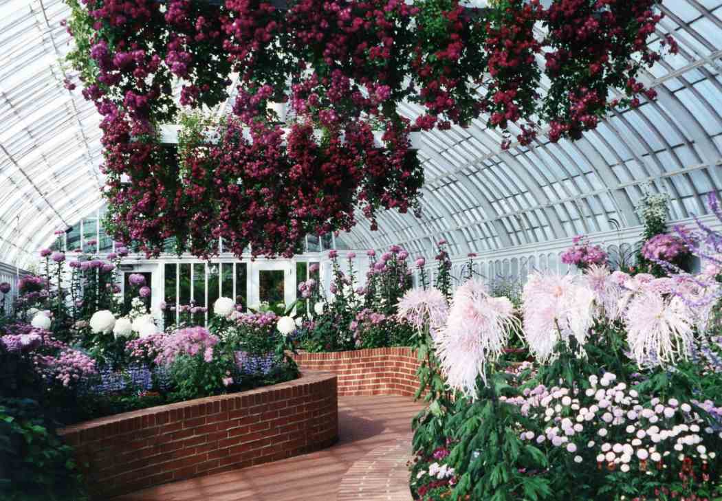 Fall Flower Show 2001: Rhapsody in Bloom