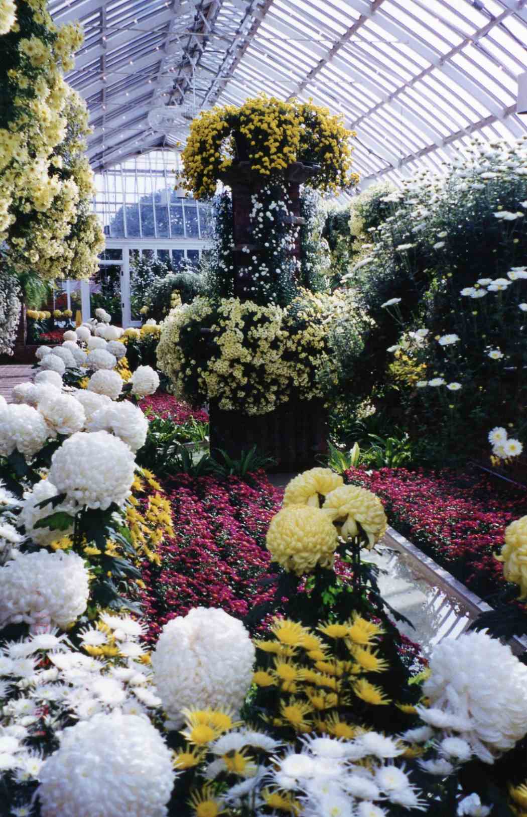 Fall Flower Show 2001: Rhapsody in Bloom