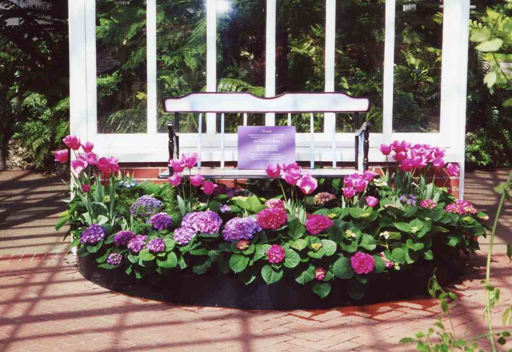 Spring Flower Show 2001: Impressions