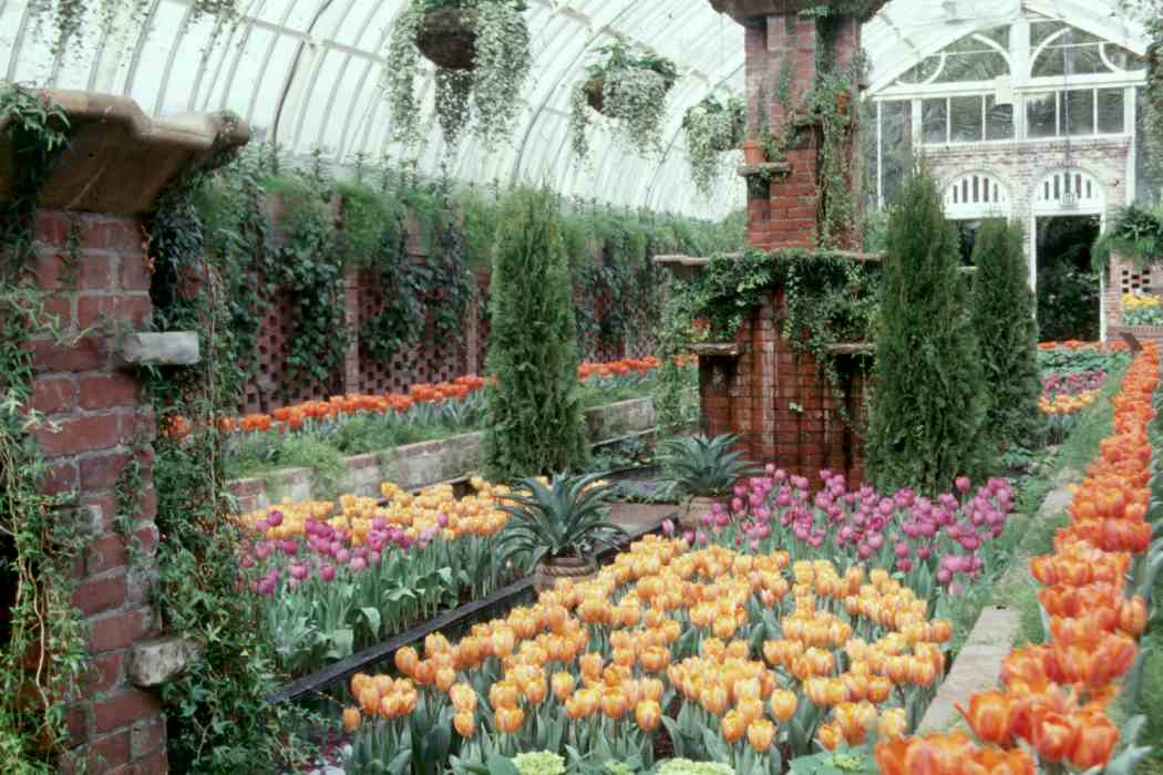 Spring Flower Show 2001: Impressions