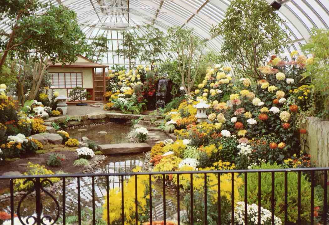 Fall Flower Show 2002: Japanese Chrysanthemum Festival