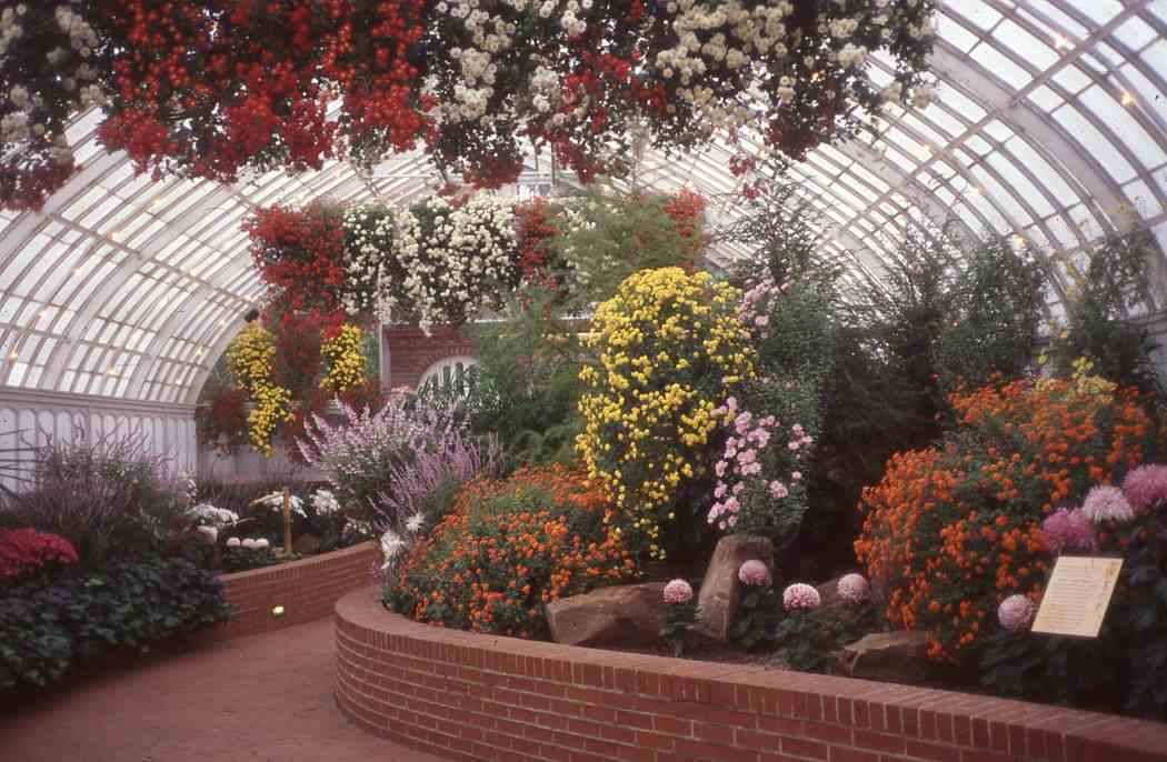 Fall Flower Show 2002: Japanese Chrysanthemum Festival