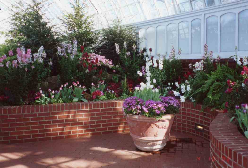 Spring Flower Show 2002: The Colors of Sunlight