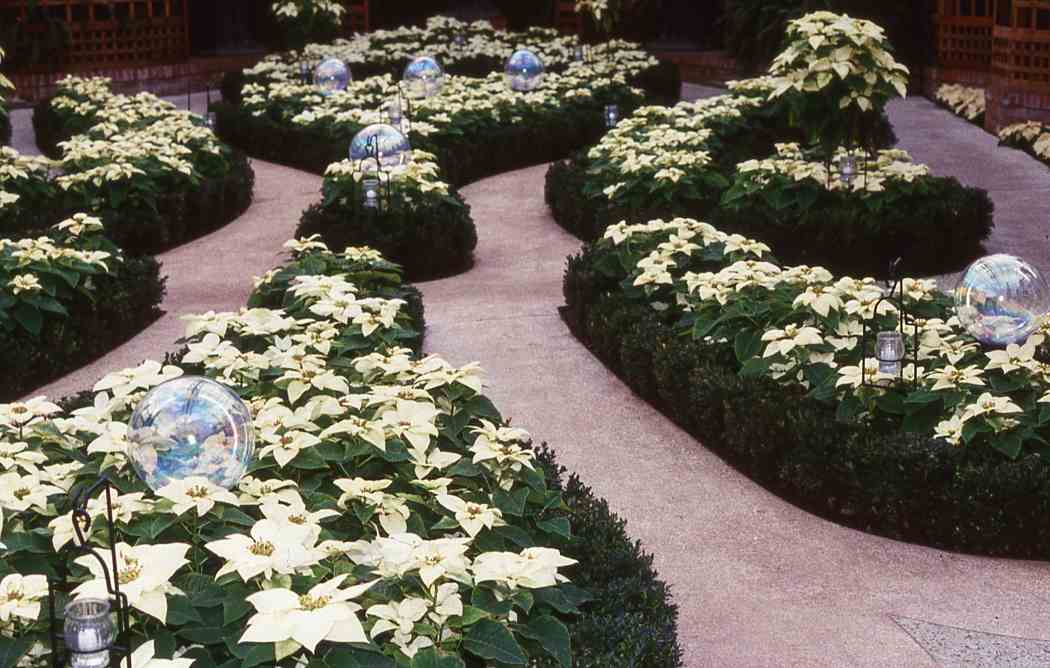 Winter Flower Show 2002: Flower Fairies