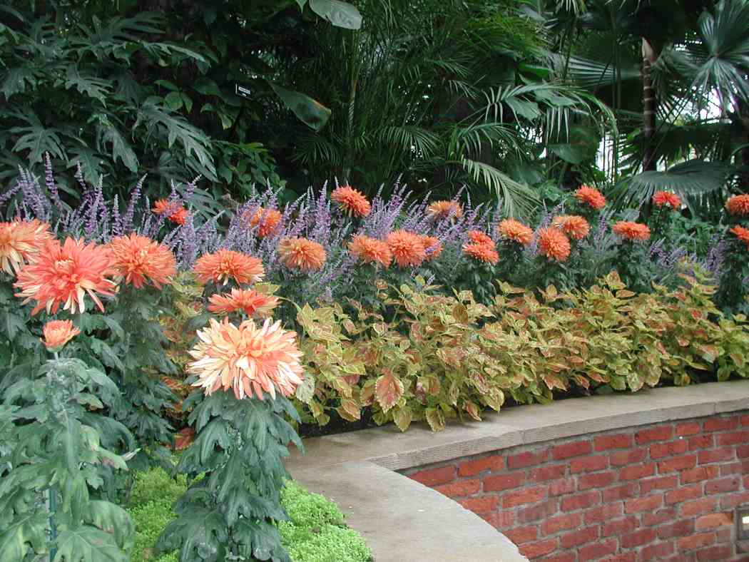 Fall Flower Show 2004: Colors of the Harvest