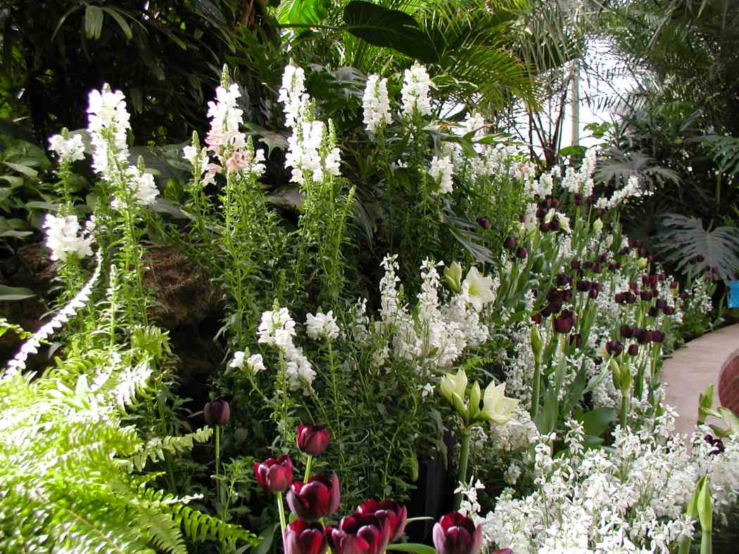 Spring Flower Show 2004: Splashes of Spring