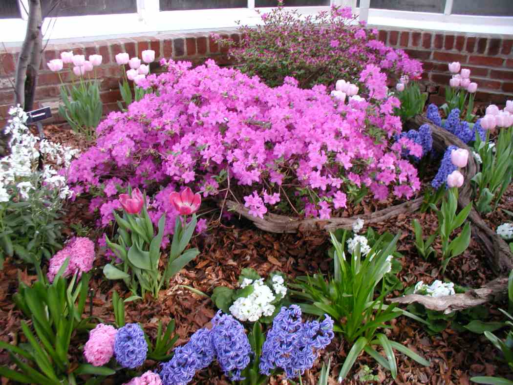 Spring Flower Show 2004: Splashes of Spring