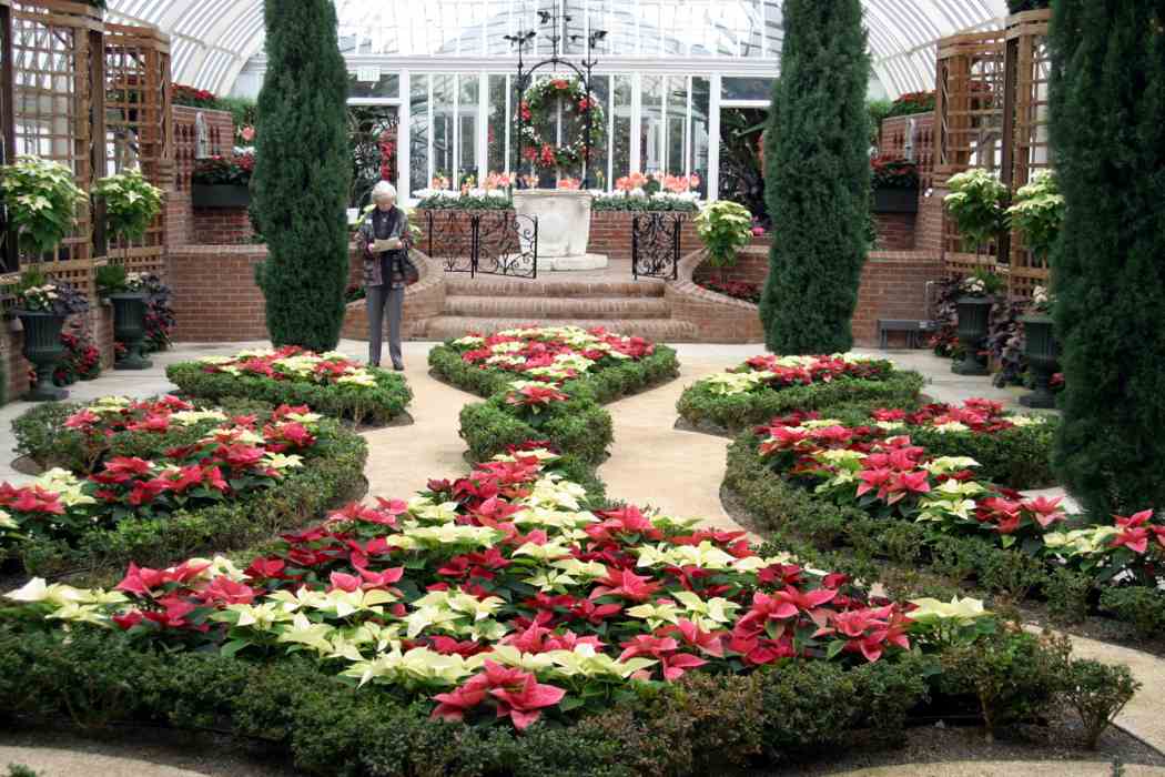 Winter Flower Show 2004: Nature’s Holiday