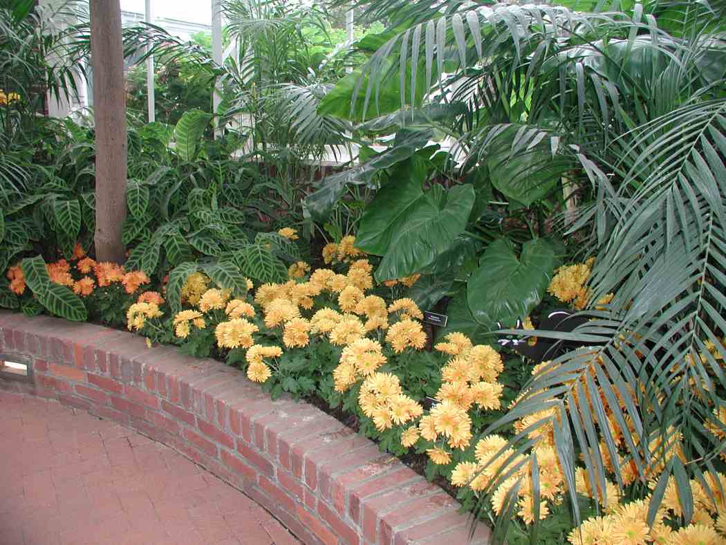 Fall Flower Show 2006: Mums and Monsters