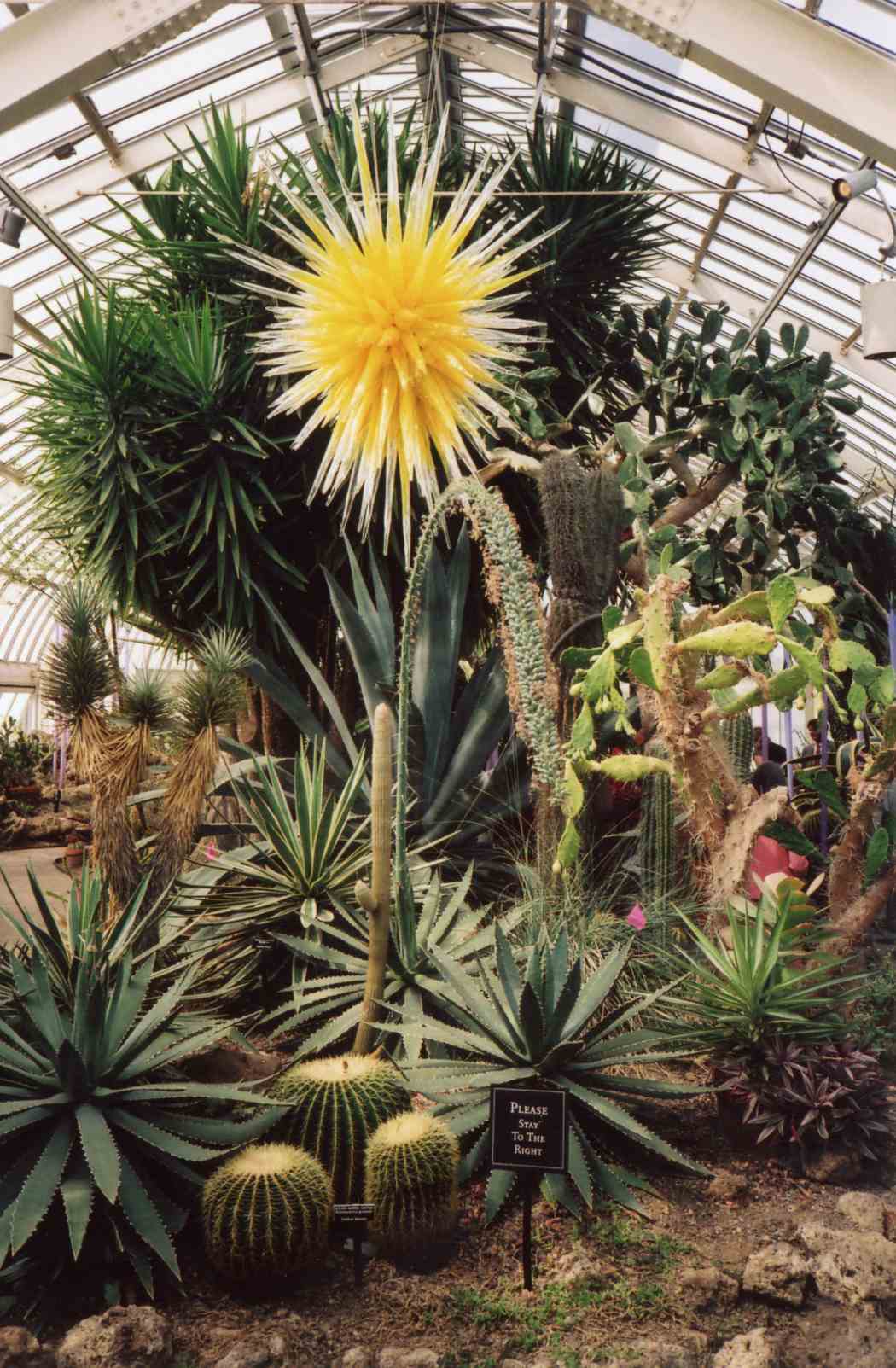 Chihuly at Phipps: Gardens and Glass Chihuly at Phipps: Gardens and Glass