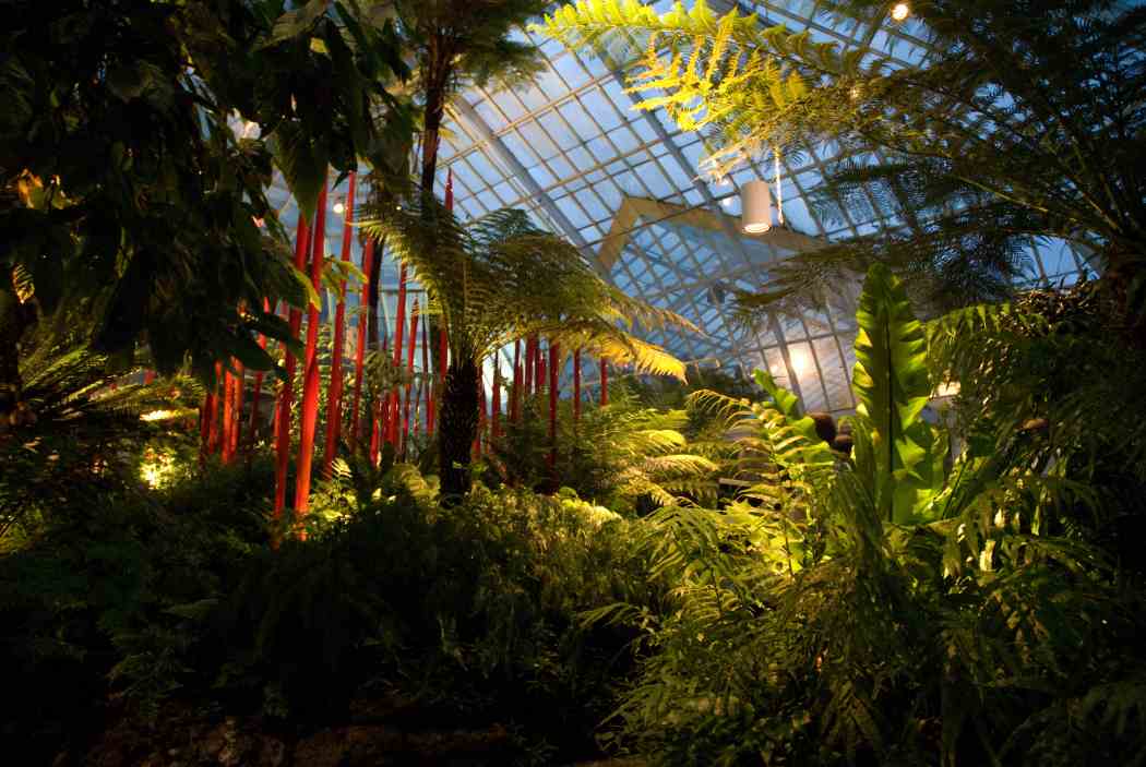 Chihuly at Phipps: Gardens and Glass Chihuly at Phipps: Gardens and Glass