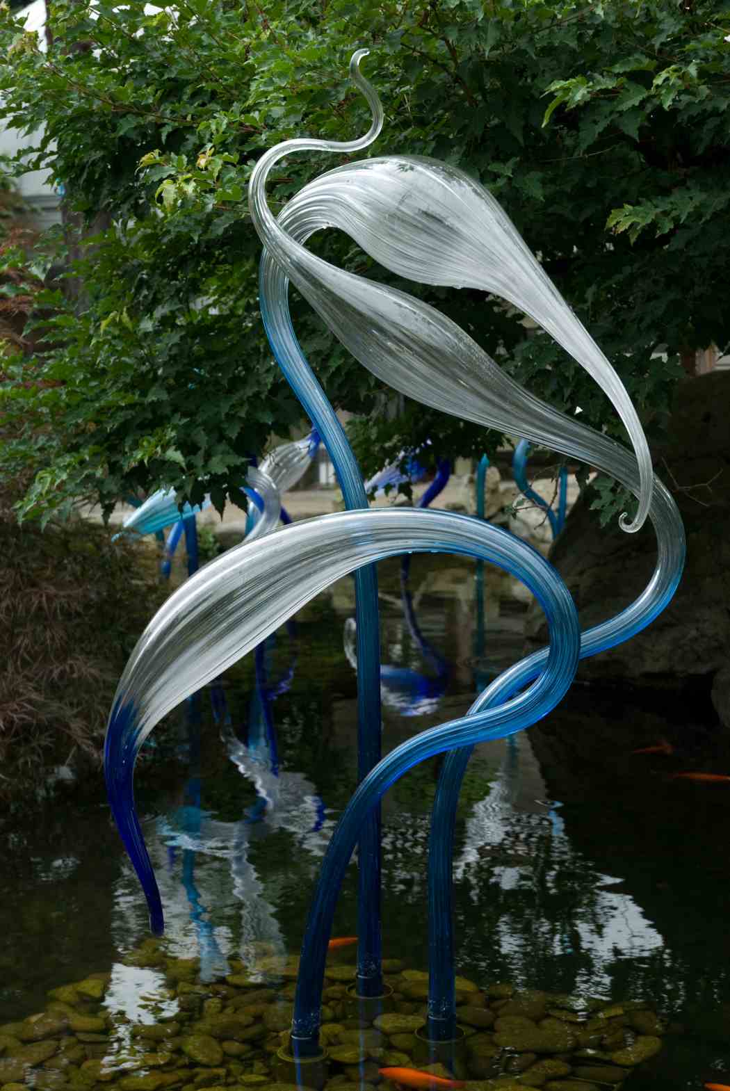 Chihuly at Phipps: Gardens and Glass