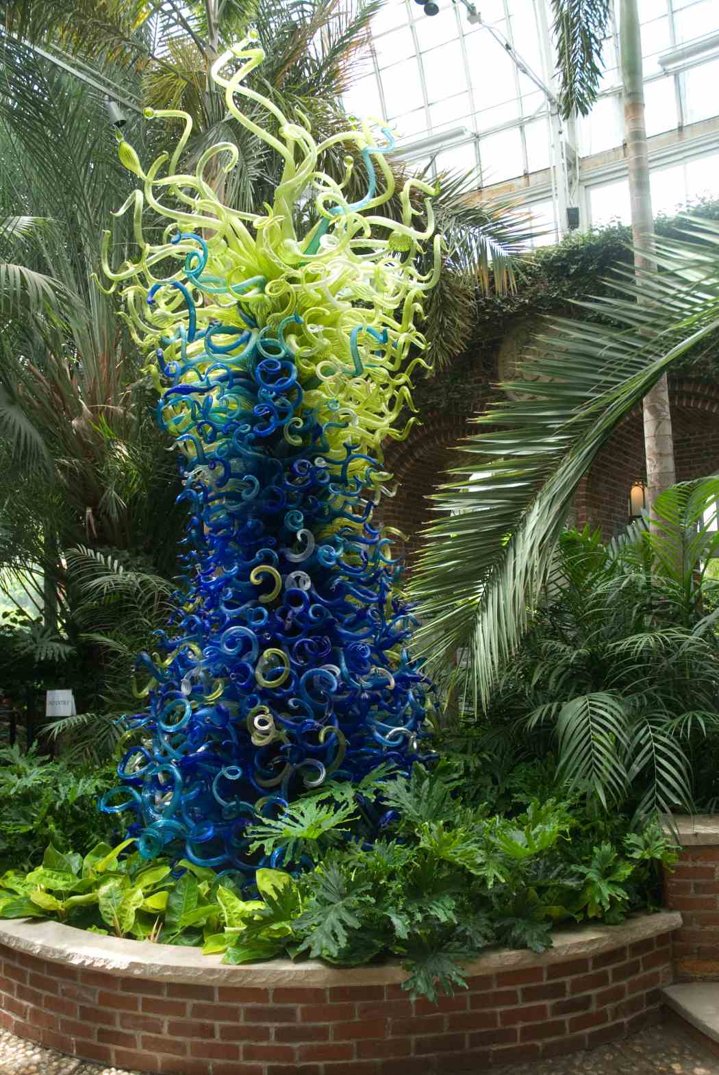 Chihuly at Phipps: Gardens and Glass
