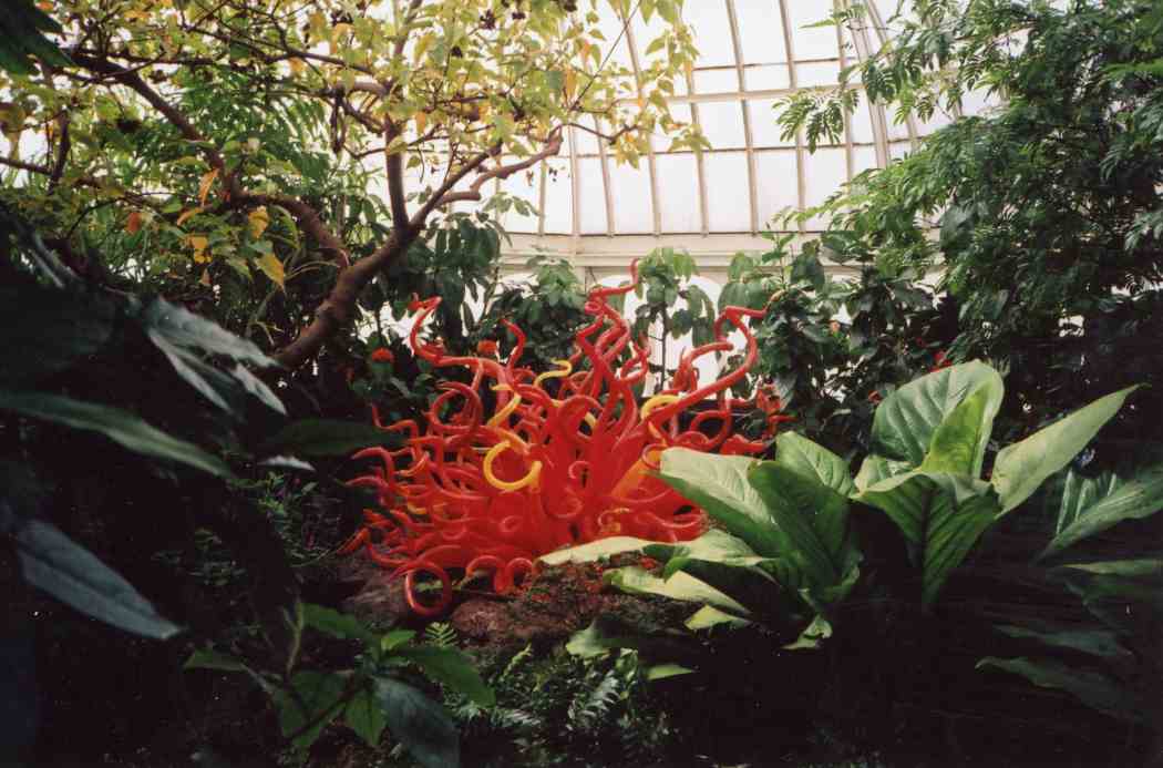 Chihuly at Phipps: Gardens and Glass