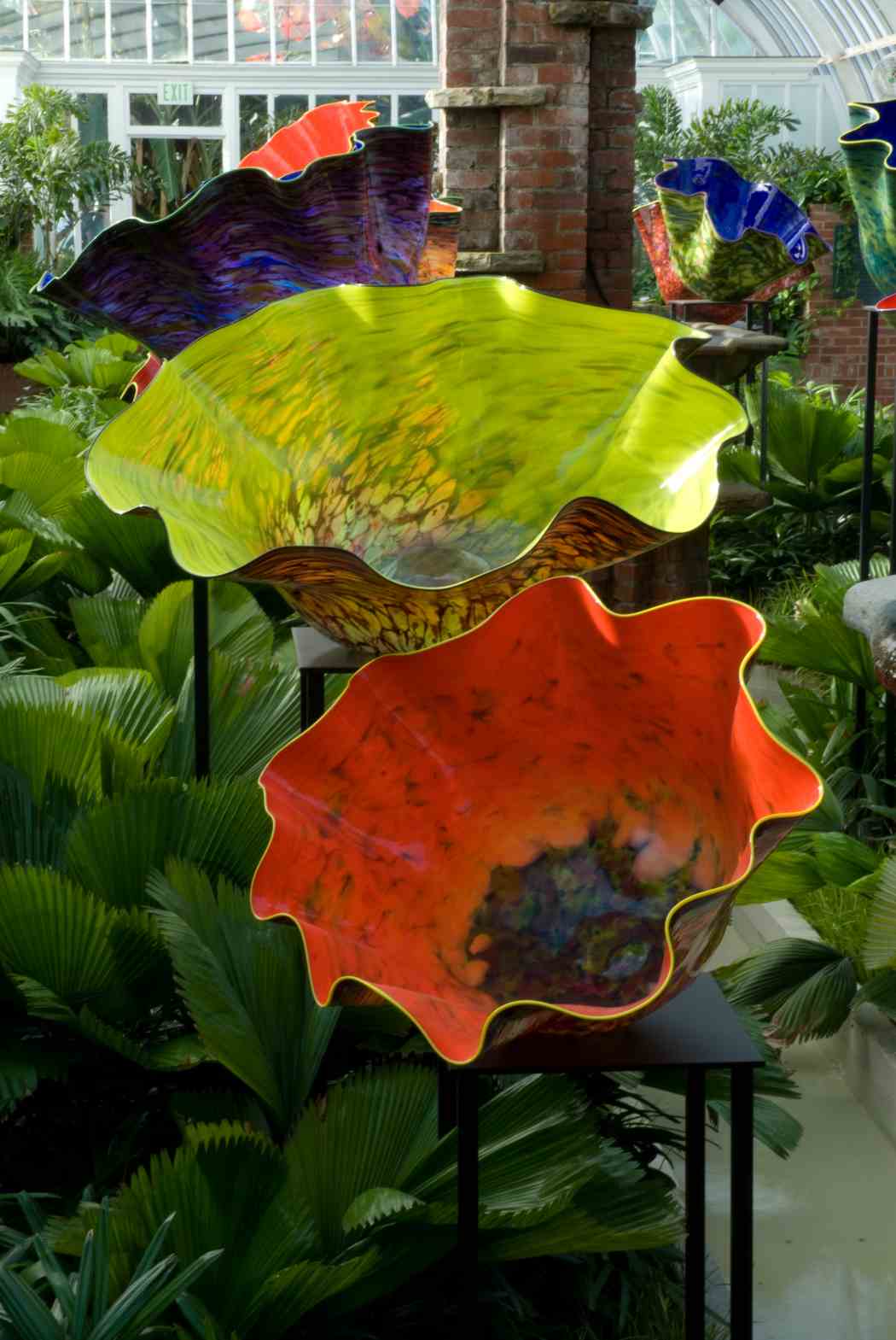 Chihuly at Phipps: Gardens and Glass