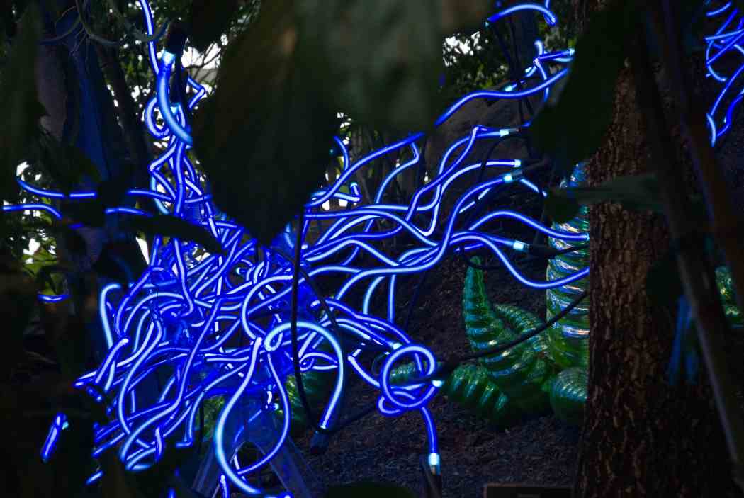 Chihuly at Phipps: Gardens and Glass