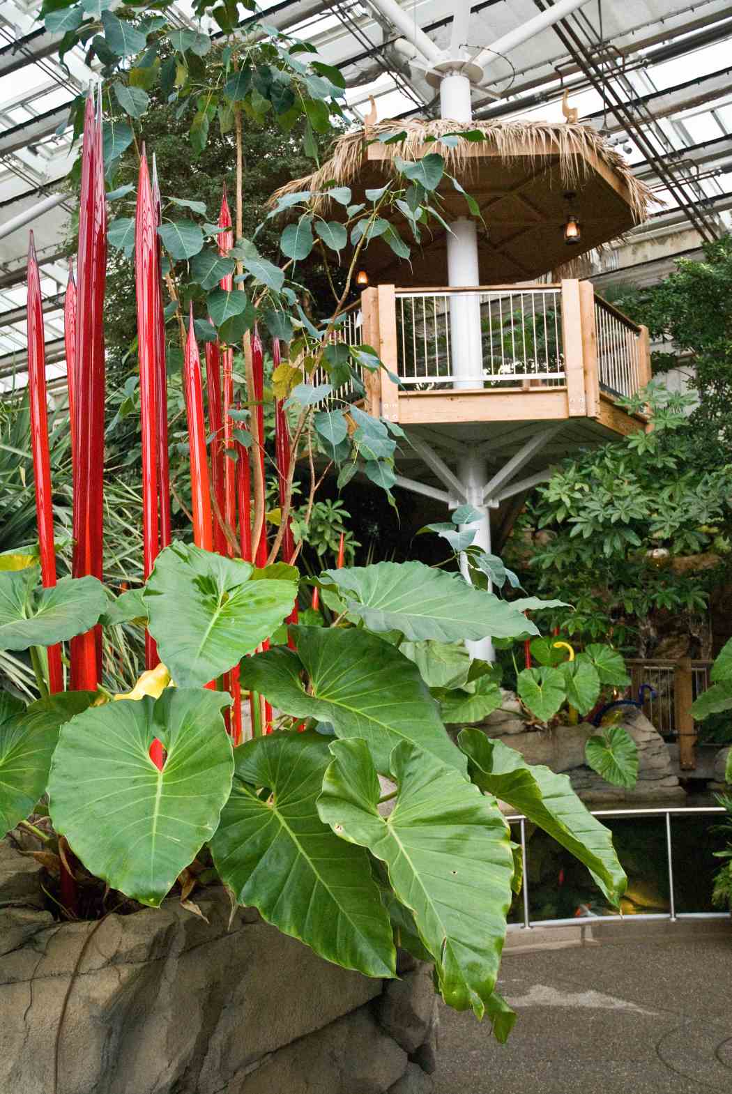 Chihuly at Phipps: Gardens and Glass