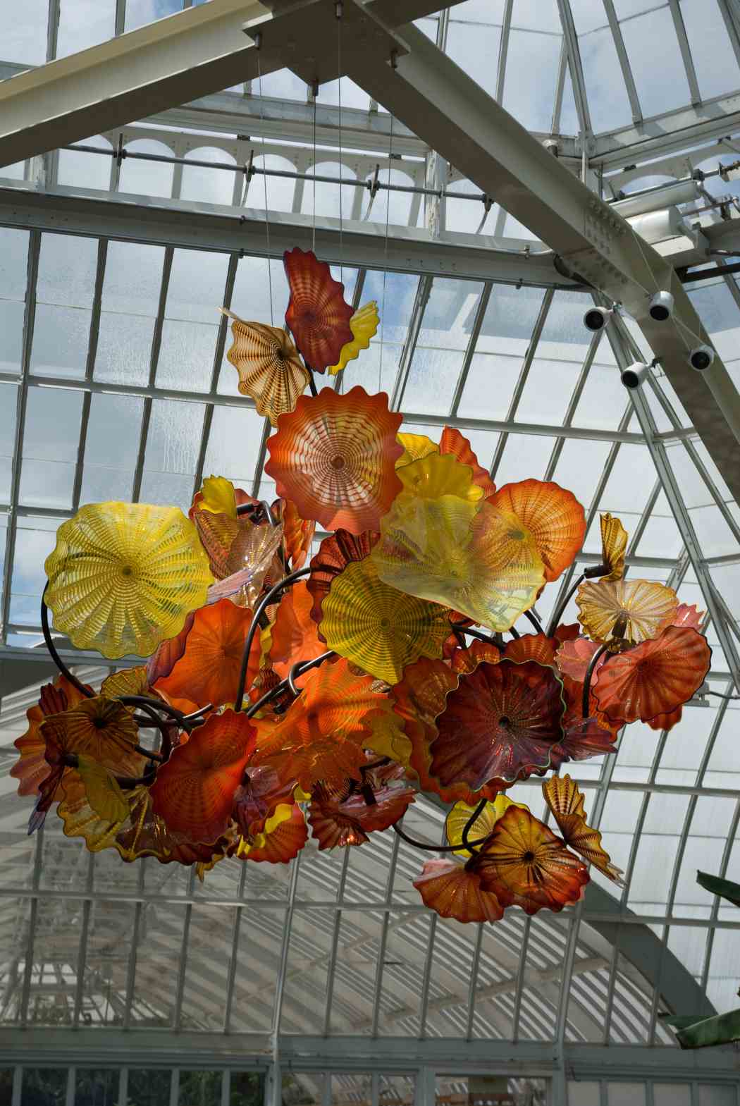 Chihuly at Phipps: Gardens and Glass